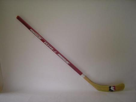 Final Hockey Stick GK 2100 Senior ca. 165cm rechts oder links 