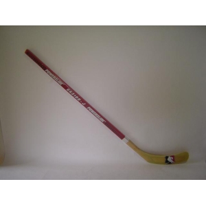 Final Hockey Stick GK 2100 Senior ca. 165cm rechts oder links