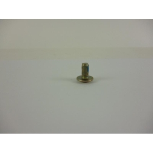 Salomon Schraube zur Schienenbefestigung 12mm